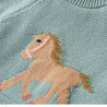 Suéter de caballo