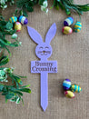 Acrylic Easter Bunny Crossing Sign - Little Bambini Boutique