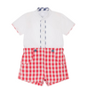 Baby Gingham Shorts Short Sleeve Shirt Set - Little BambiniBoutique